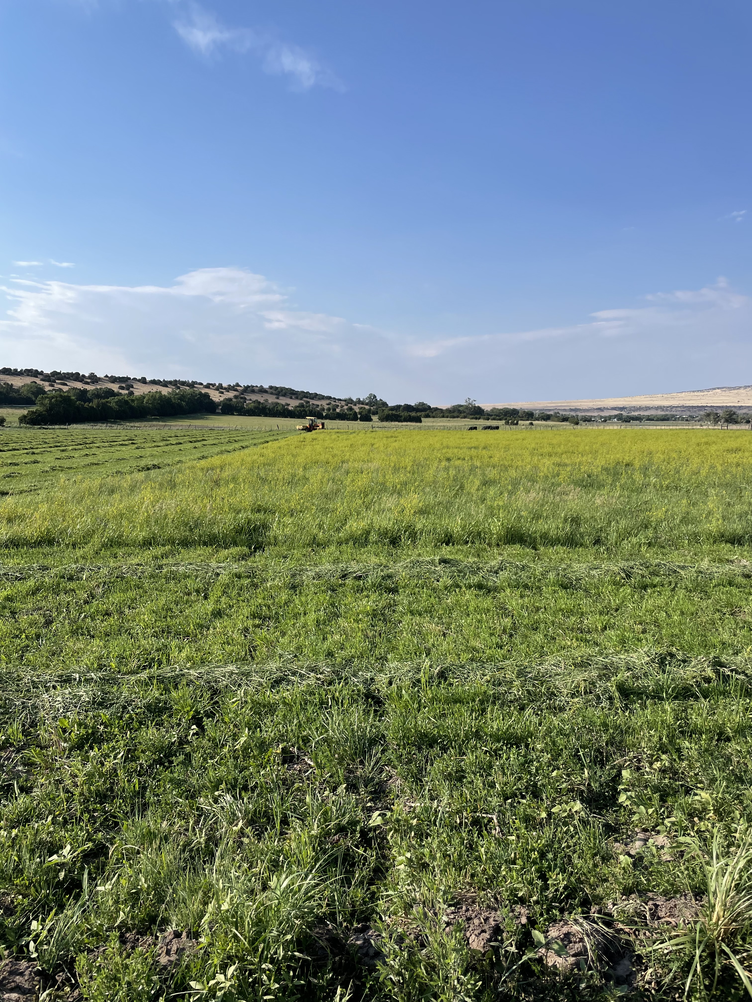 Ranch field being mowed
